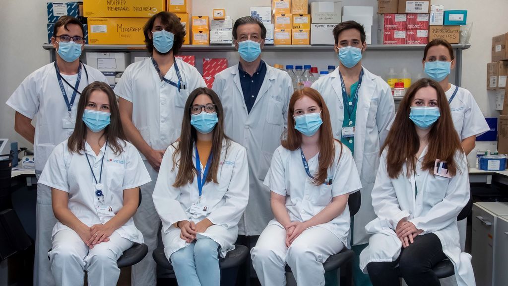 La inmunología sintética, nueva arma contra la covid: fabricar anticuerpos eficaces frente a este y otros coronavirus La inmunología sintética, nueva arma contra la covid: fabricar anticuerpos eficaces frente a este y otros coronavirus