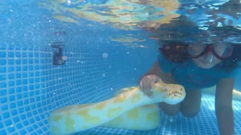 Inbar, la niña israelí de 8 años que jugaba con serpientes