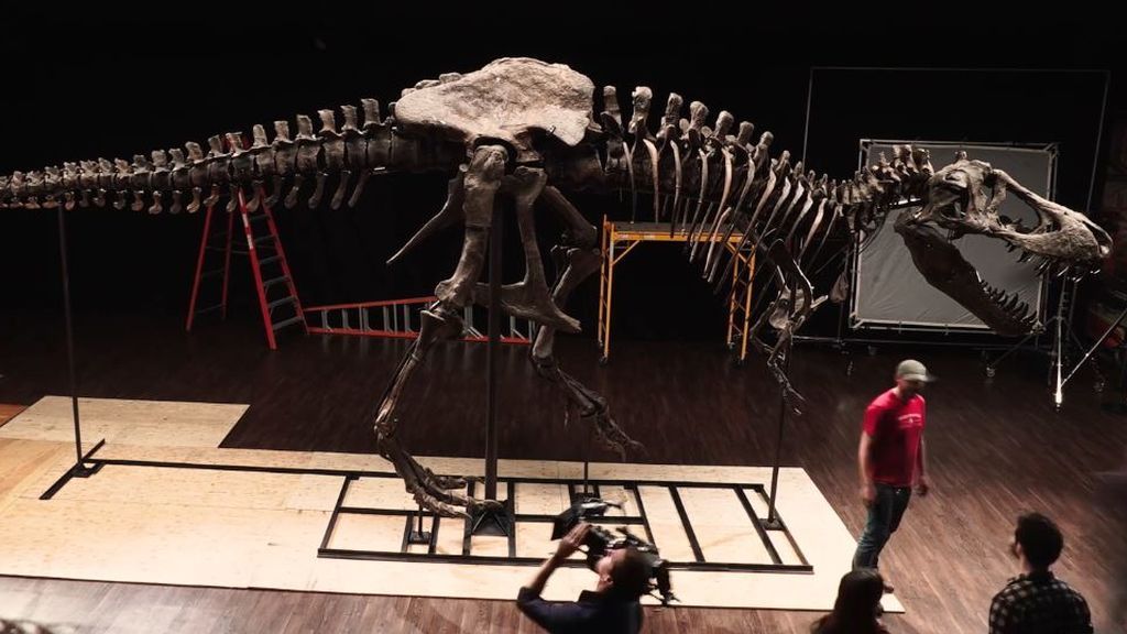 El fósil más caro de la historia: vendido el esqueleto de 'Stan' por 32 millones de dólares