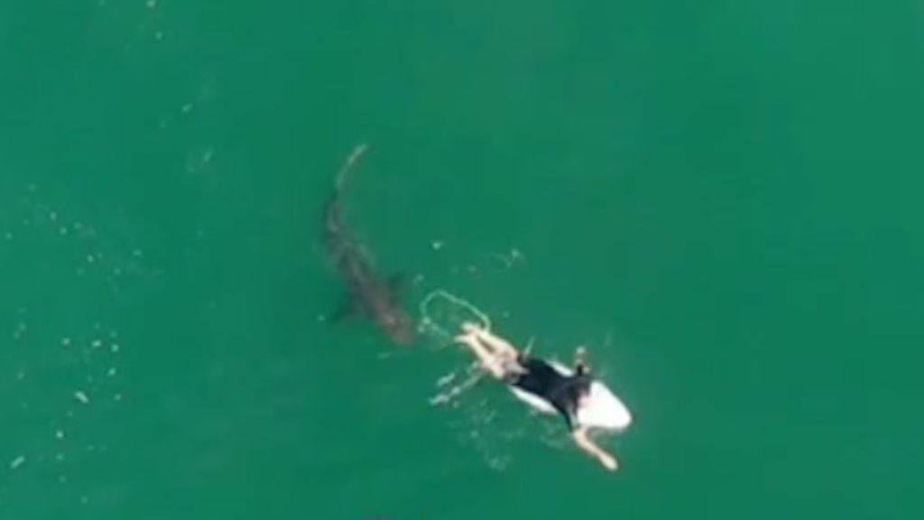 Desaparece un surfista australiano por el ataque de un tiburón