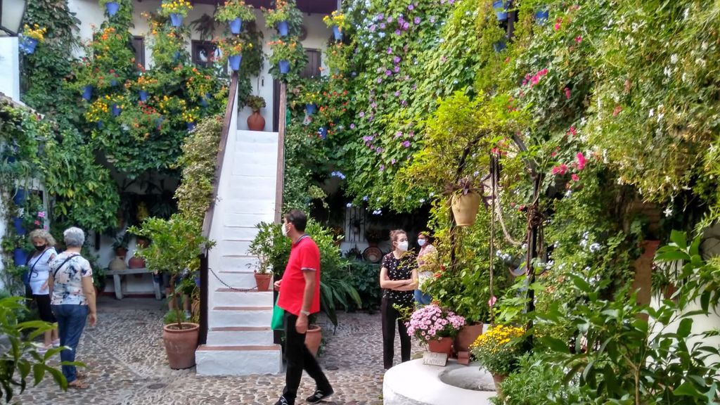 Los Patios de Córdoba florecen en tiempos de coronavirus: drones de vigilancia, sensores de aforo y tomas de temperatura Los Patios de Córdoba florecen en tiempos de coronavirus: drones de vigilancia, sensores de aforo y tomas de temperatura