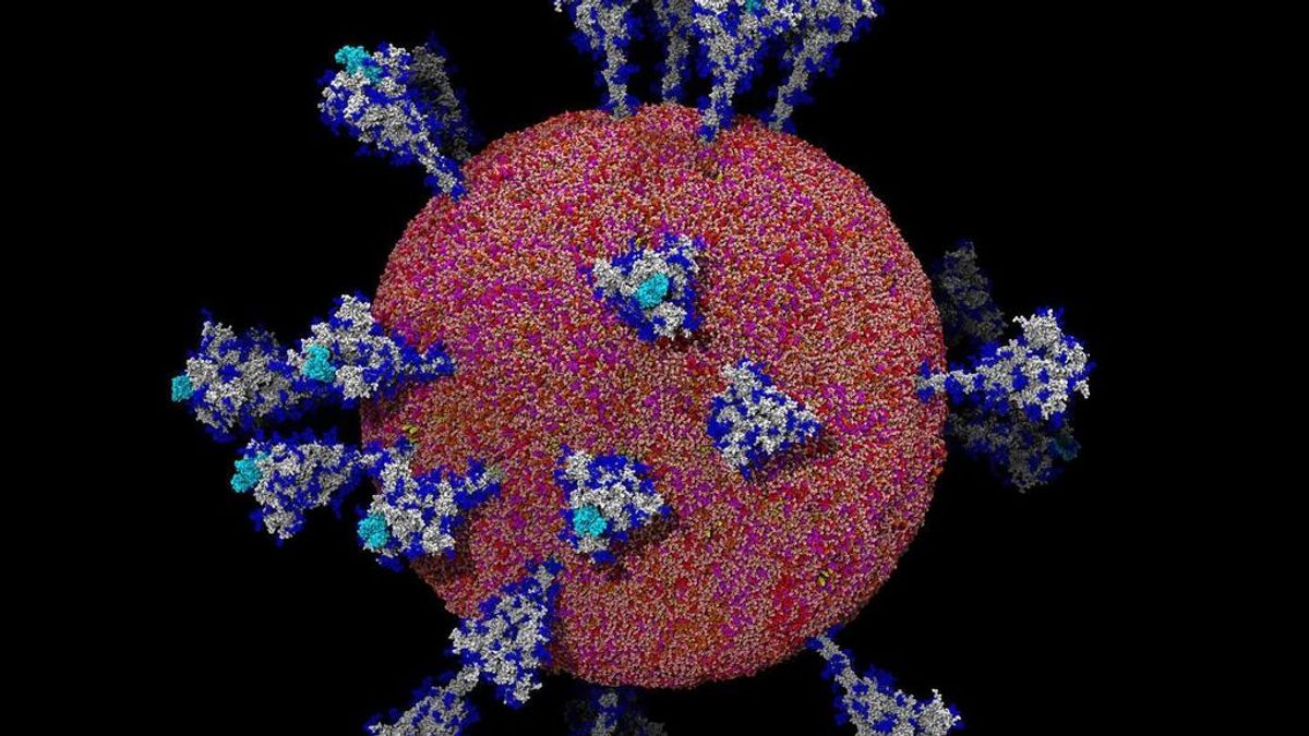 Un superordenador consigue tomar las imágenes más detalladas de una célula del coronavirus