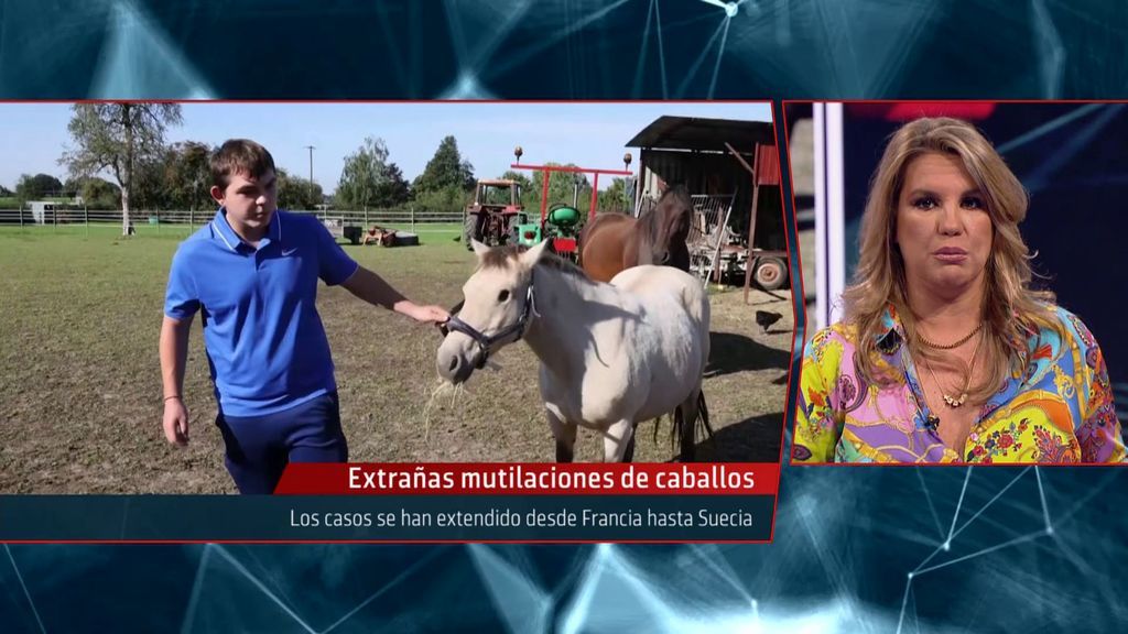 Iker Jiménez explota contra los salvajes que mutilan caballos