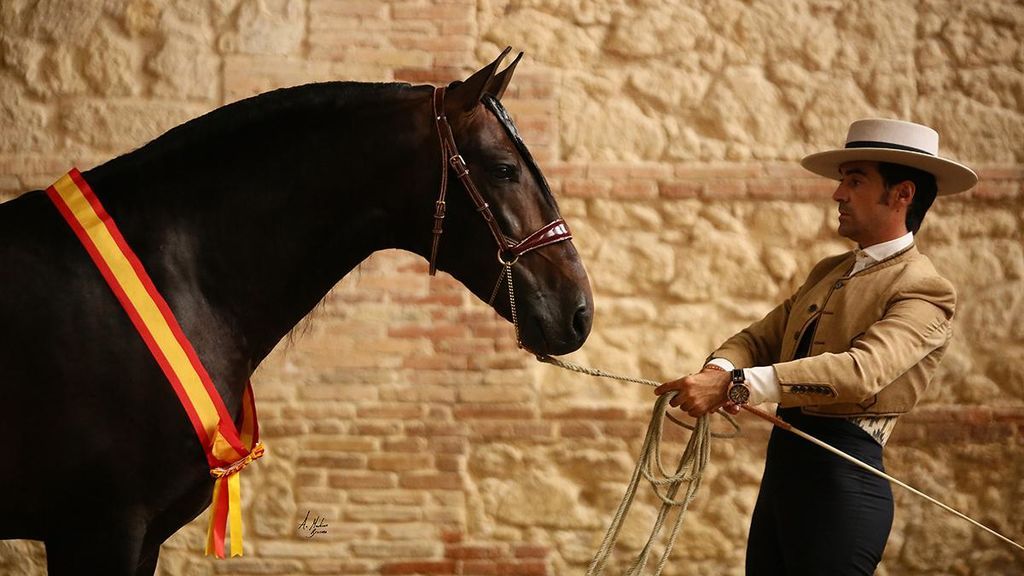 Luto en el mundo del caballo por la repentina muerte de Rubén Arrabé, a los 31 años, durante el Salón de Sevilla Luto en el mundo del caballo por la repentina muerte de Rubén Arrabé, a los 31 años, durante el Salón de Sevilla