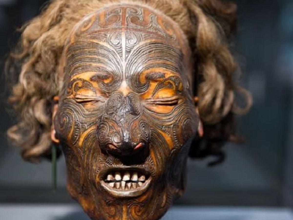 El museo de Berlín devuelve dos cabezas momificadas de maoríes a Nueva  Zelanda - NIUS