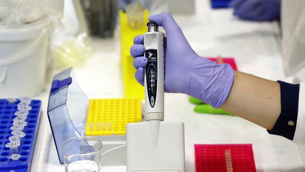 Los efectos de la COVID-19 en el cáncer de colon: un 12% más de muertes por el retraso en el diagnóstico Los efectos de la COVID-19 en el cáncer de colon: un 12% más de muertes por el retraso en el diagnóstico