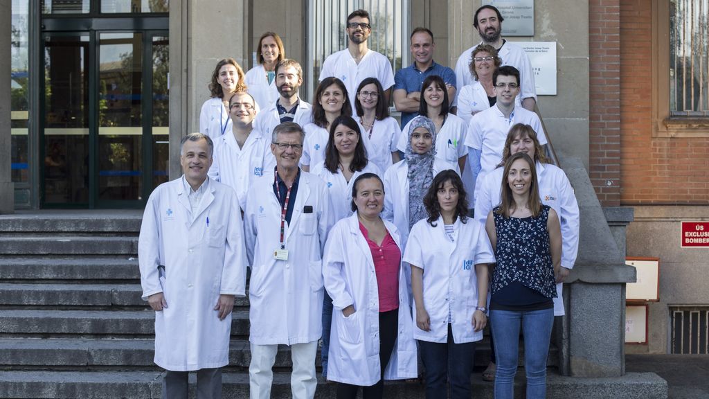 Las bacterias intestinales influyen en la memoria: detectan que los obesos ven limitada su capacidad cognitiva Las bacterias intestinales influyen en la memoria: detectan que los obesos ven limitada su capacidad cognitiva