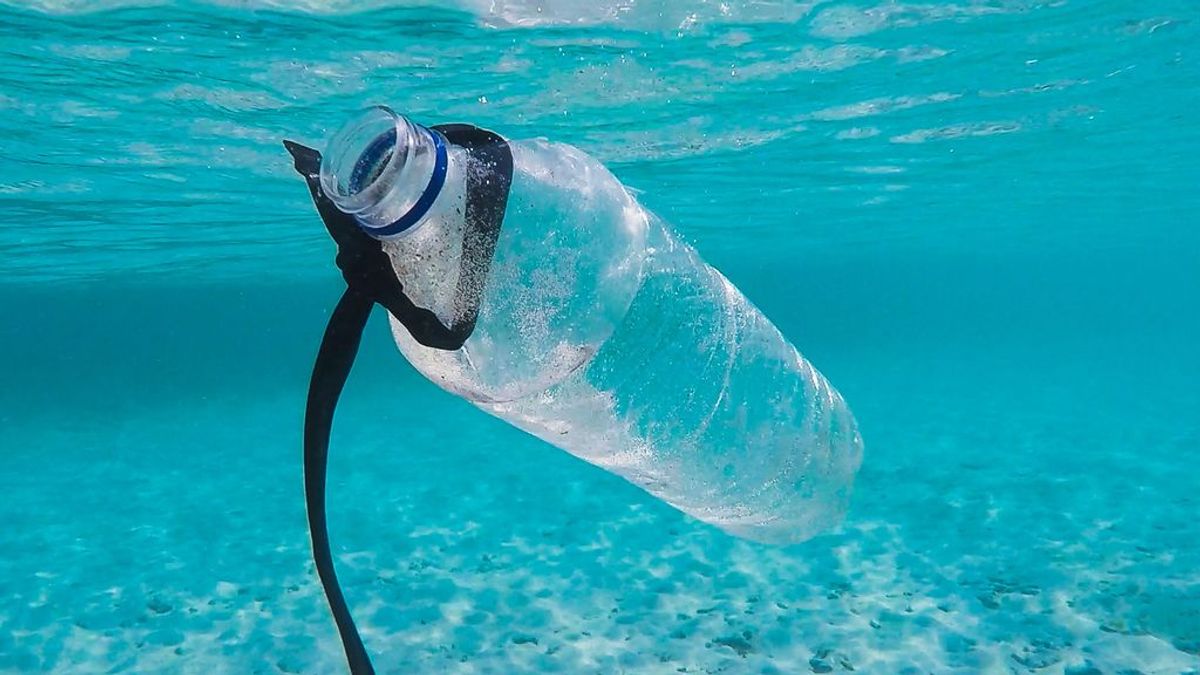 Tan útiles como nocivas: cómo reciclar las botellas de plástico correctamente