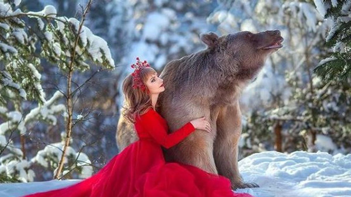 Pesa 350 kilos y es modelo: Stepan, el oso pardo que ha desatado la polémica en Rusia