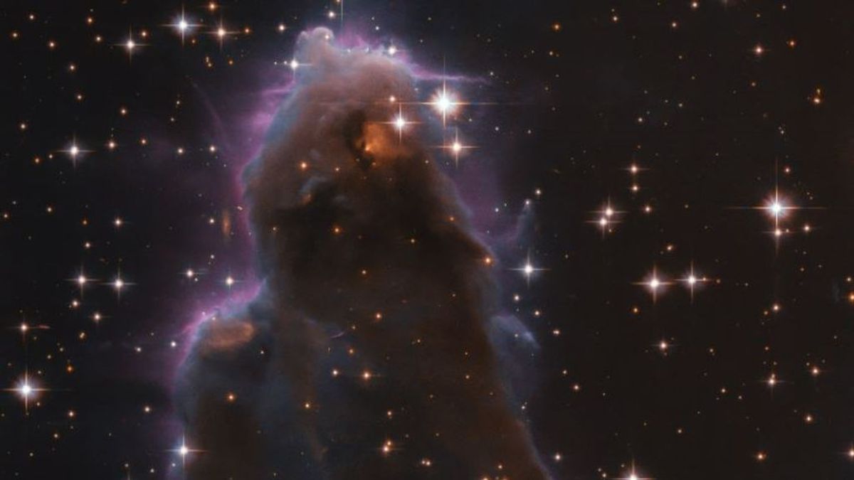 El satélite Hubble localiza un ‘vivero’ de estrellas con una forma curiosa