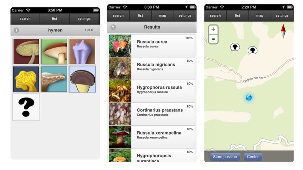 boletus el buscador