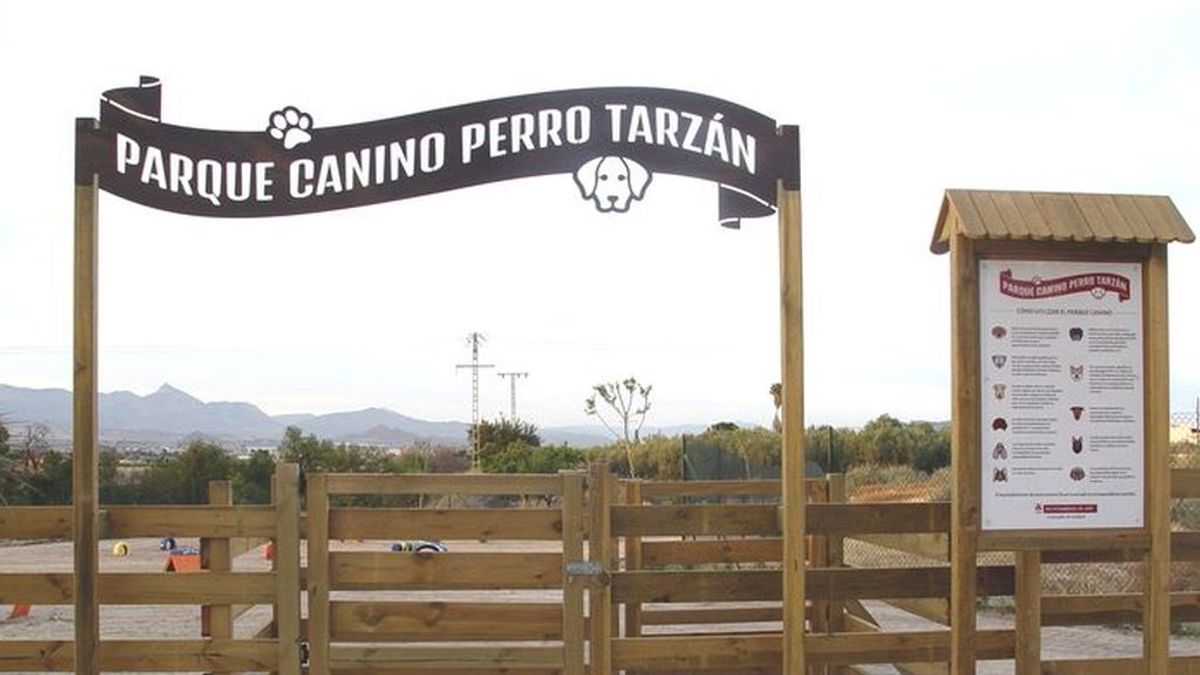 Tarzán, el perro de Aspe que tiene un parque con su nombre y cautivó al tenor Alfredo Kraus Tarzán, el perro de Aspe que tiene un parque con su nombre y cautivó al tenor Alfredo Kraus