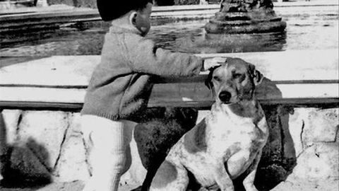 La Historia De Tarzan El Perro Hachiko De Alicante Que Se Gano El Carino De Todo Un Pueblo Telecinco