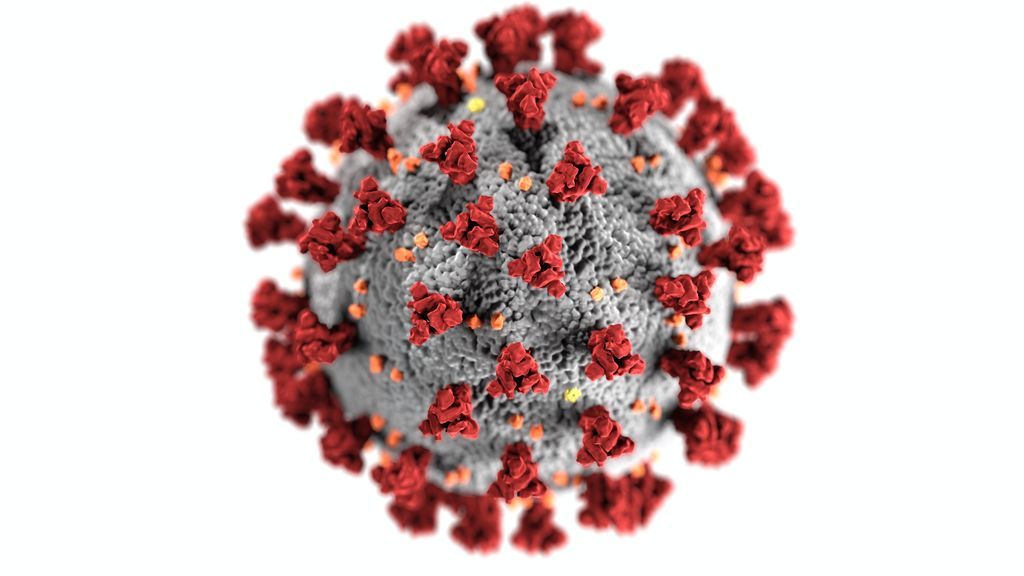 Científicos del CSIC identifican el movimiento de la proteína con la que el virus entra en las células Científicos del CSIC identifican el movimiento de la proteína con la que el virus entra en las células