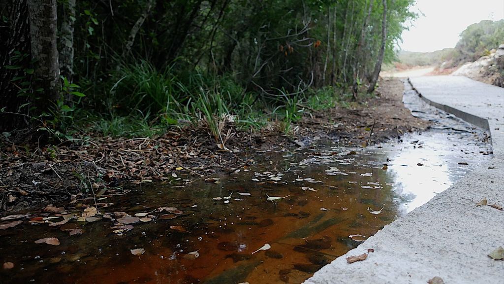 El lecho de un arroyo bajo el cemento