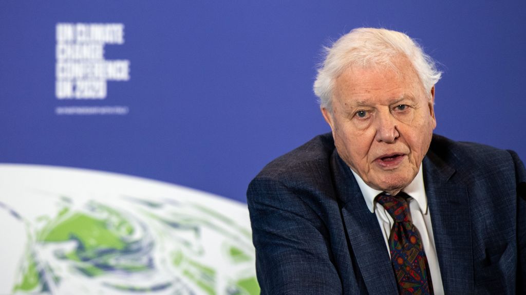 Instagram, ¿solo para milennials? Sir David Attenborough, el más rápido en conseguir 1 millón de seguidores