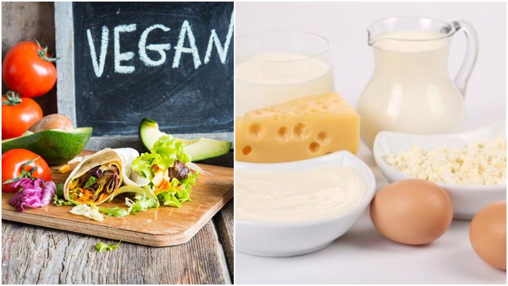 Principales diferencias entre vegano y vegetariano