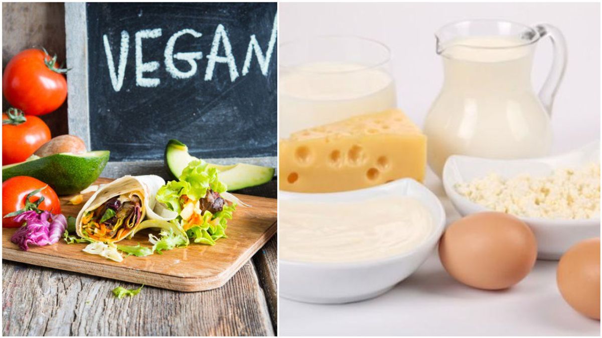 Principales diferencias entre vegano y vegetariano Principales diferencias entre vegano y vegetariano