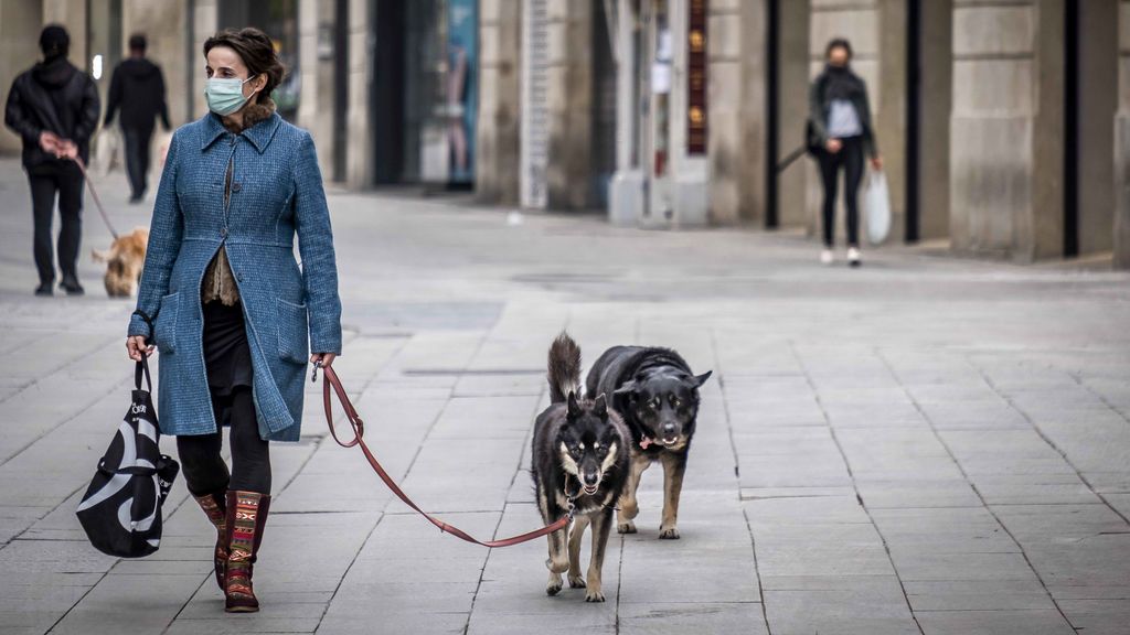 ¿Puedo pasear al perro durante un toque de queda? ¿Puedo pasear al perro durante un toque de queda?