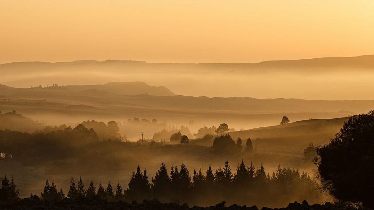 Por qué se forma la niebla Por qué se forma la niebla