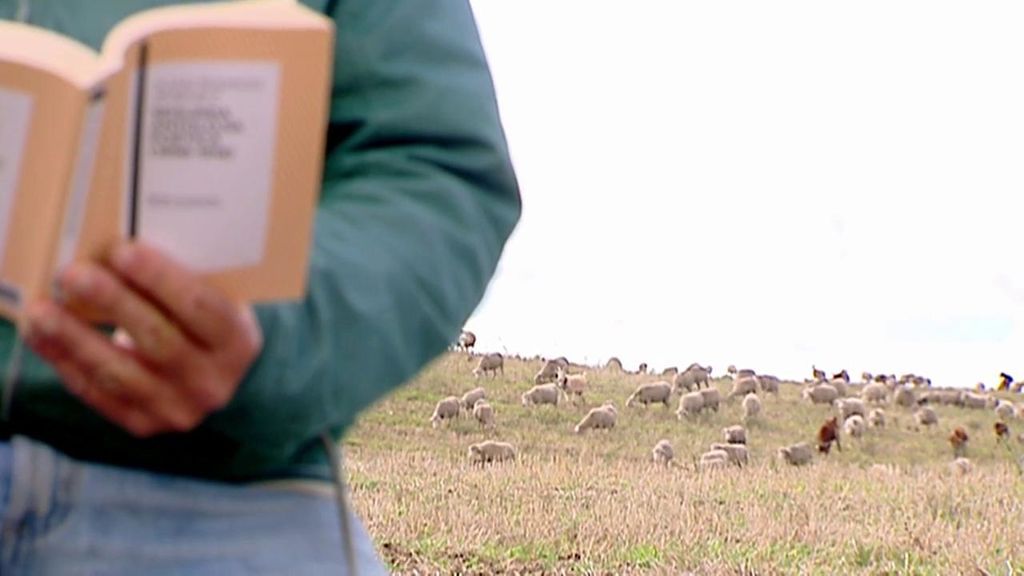 La belleza de la vida trashumante