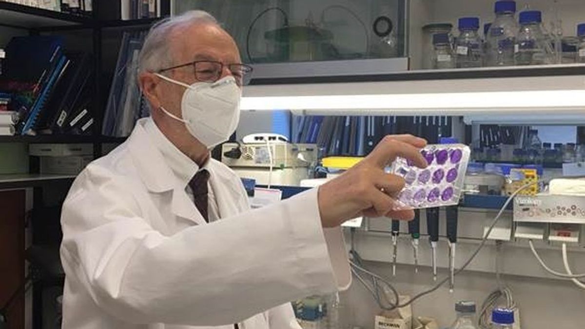 El máximo experto en coronavirus de España no descarta un nuevo confinamiento