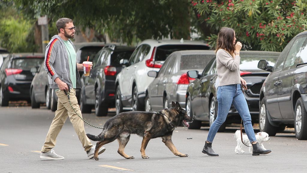 Toque de queda: ¿Puedo salir a pasear a mi perro?