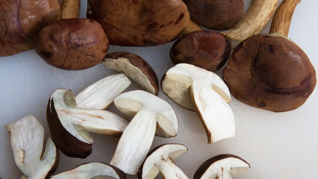 Congeladas, en conserva o deshidratadas: trucos para conservar las setas el mayor tiempo posible