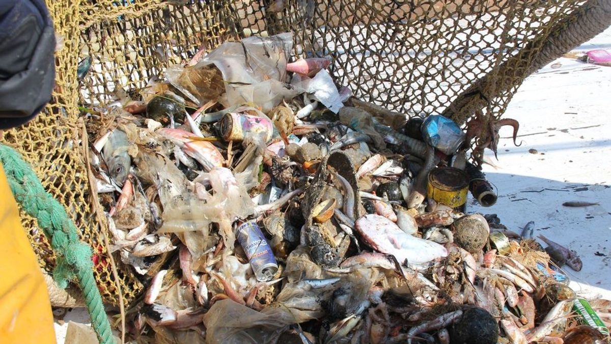 El Mediterráneao se ahoga en plásticos: un informe de la UICN constata que cada año se vierten al mar 229.000 toneladas
