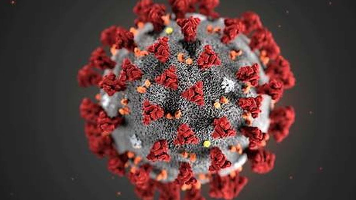 Los aerosoles son responsables del 75% de los contagios  de coronavirus, según un experto