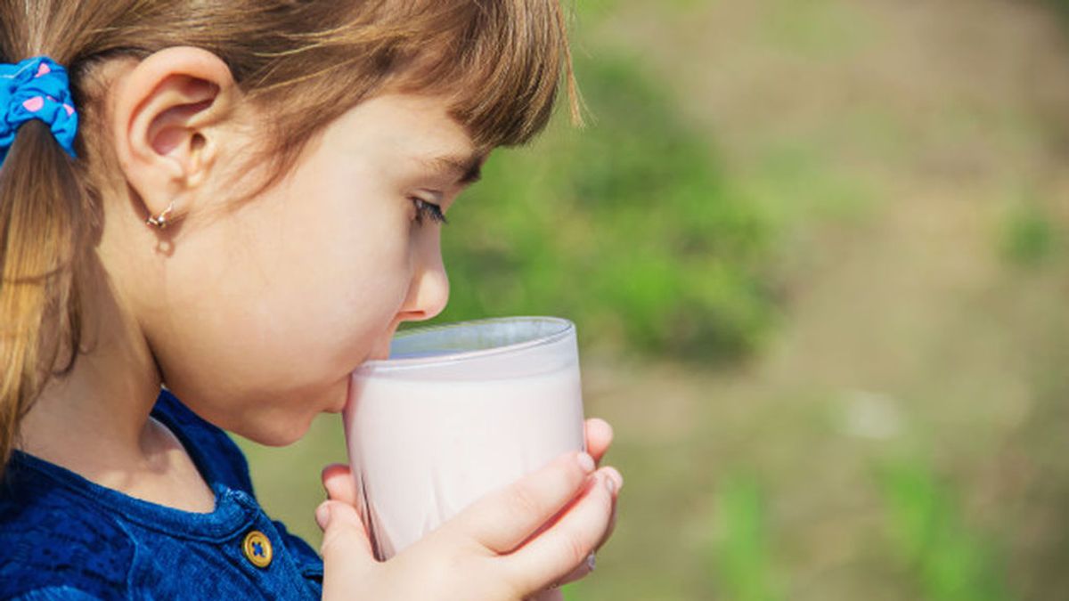 El estudio EsNuPi de nutrición alerta: los niños españoles no toman suficiente calcio, fósforo, magnesio y vitamina D
