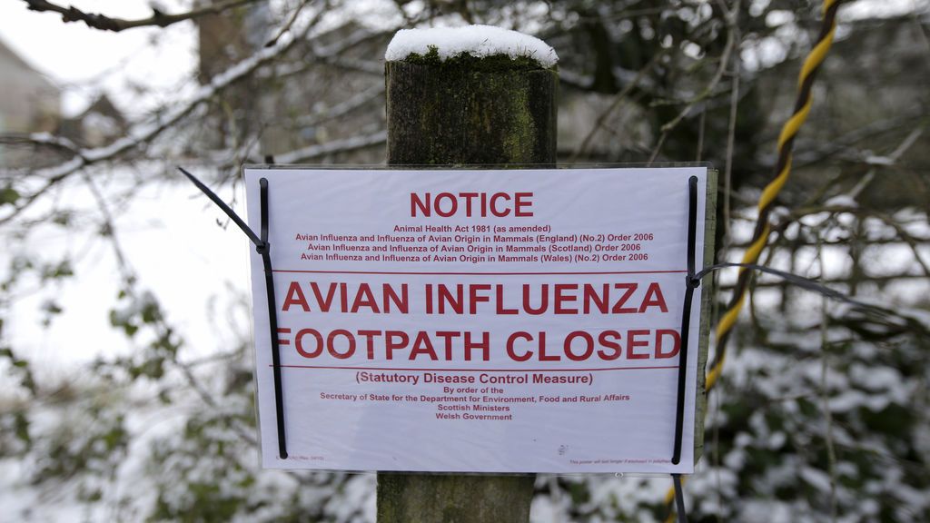 Letrero sobre los riesgos de la enfermedad en Upham, en el sur de Inglaterra