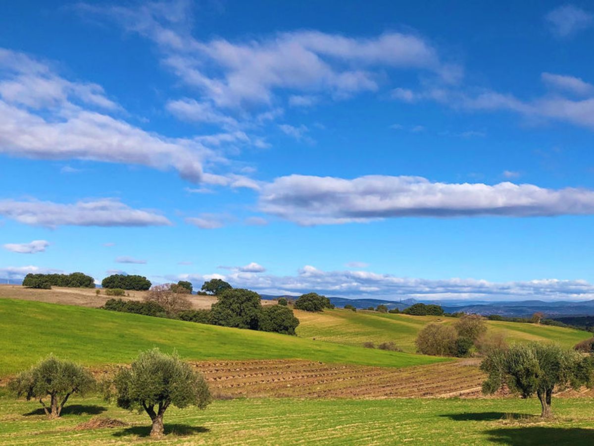 Recordarium': el final ecológico, sostenible y legal para las cenizas de un  ser querido - NIUS