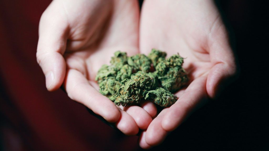 De víctima a villano: denuncia el robo de 4 kilos de marihuana y acaba detenido De víctima a villano: denuncia el robo de 4 kilos de marihuana y acaba detenido