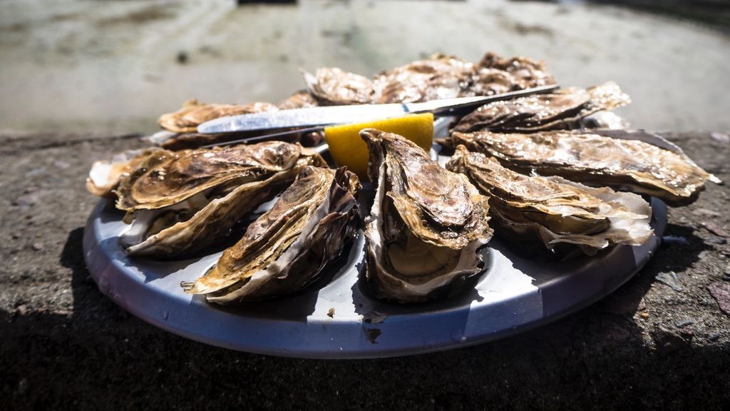 ¿Te has preguntado alguna vez por qué las ostras son tan caras? Mitos y verdades sobre este molusco para gourmets que lleva cientos de años en nuestra buena mesa