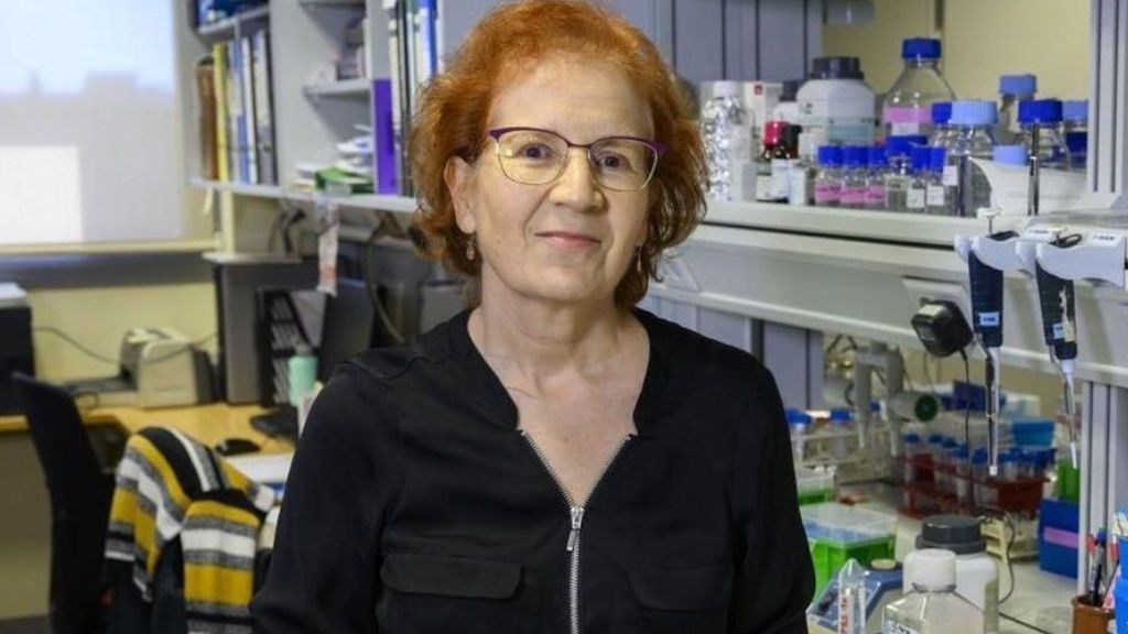 La viróloga Margarita del Val y su mensaje optimista frente a la Covid-19: "Toda la población va a ser inmune" La viróloga Margarita del Val y su mensaje optimista frente a la Covid-19: "Toda la población va a ser inmune"