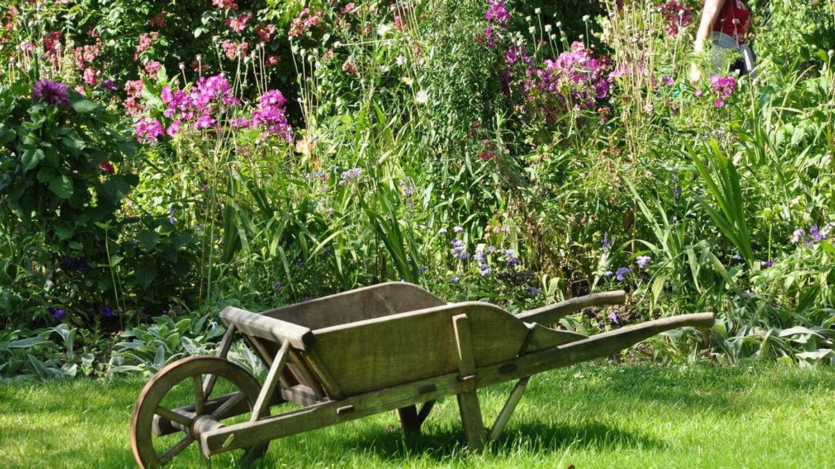 Los mejores cuidados para tu jardín este otoño.