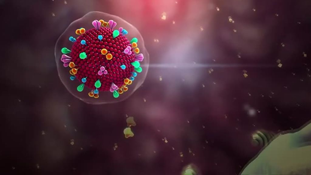 Las células T, claves para lograr una inmunidad celular frente al coronavirus