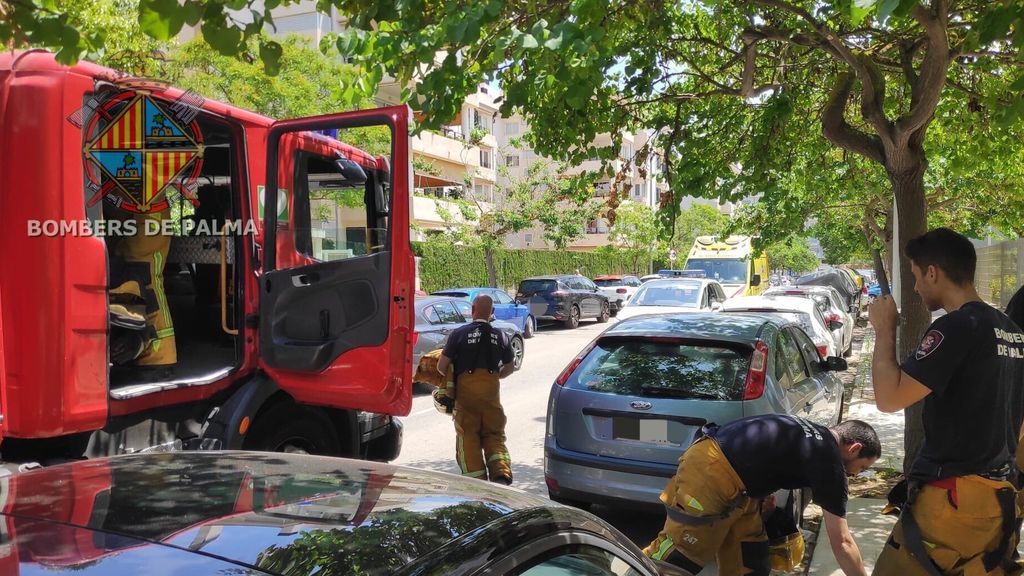 Encuentran el cuerpo de un hombre fallecido hacía meses en su casa de Palma de Mallorca Encuentran el cuerpo de un hombre fallecido hacía meses en su casa de Palma de Mallorca