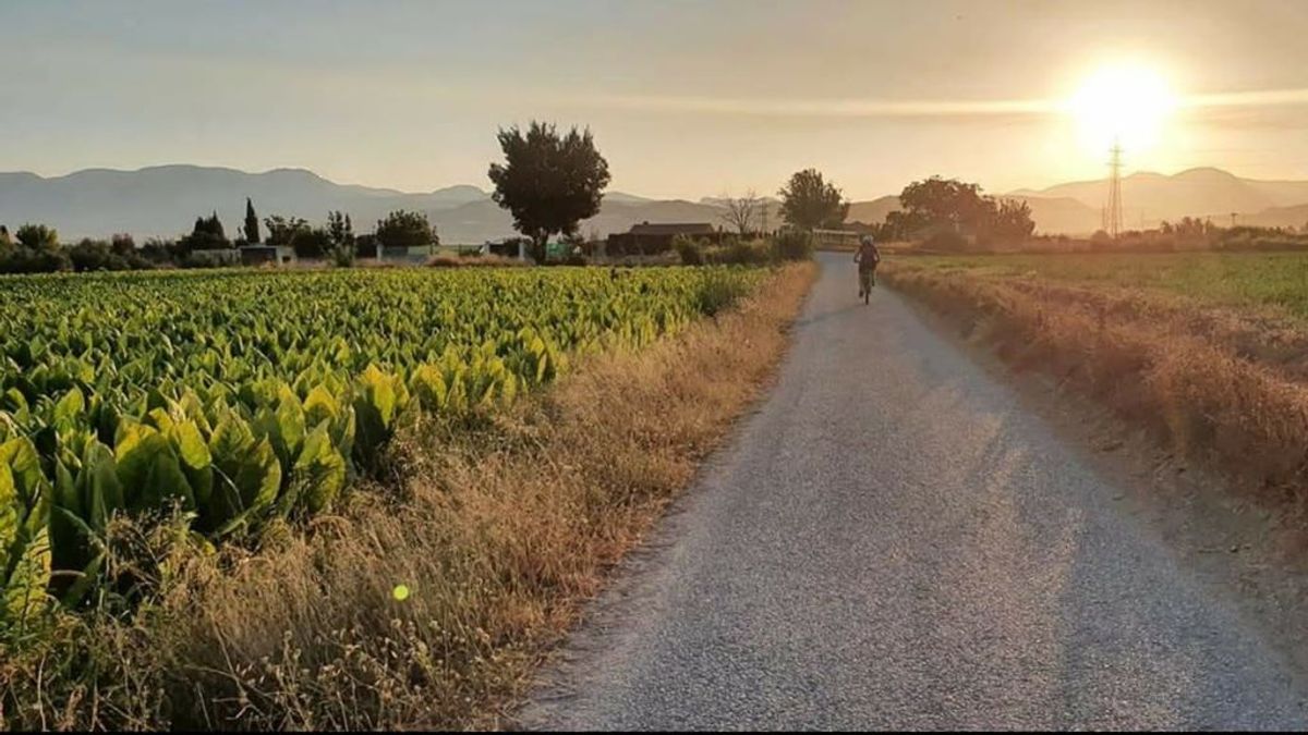 Una bicicleta y una ‘Go-Pro’: la iniciativa de un pueblo de Granada para que sus vecinos no se salten el confinamiento Una bicicleta y una ‘Go-Pro’: la iniciativa de un pueblo de Granada para que sus vecinos no se salten el confinamiento