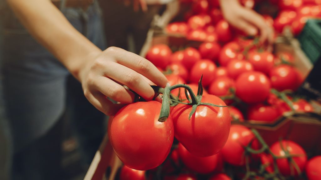 TOMATES-PEXELS