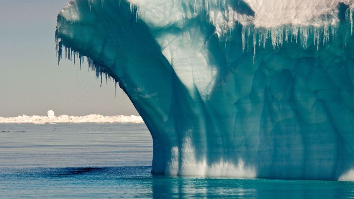 El iceberg más grande del mundo amenaza la isla de Georgia del Sur, de tamaño similar
