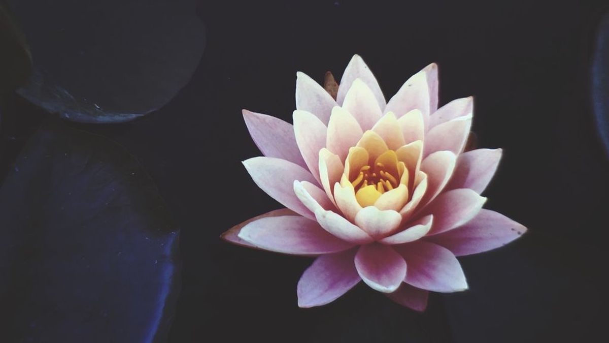 Elegantes y representativos: ¿qué significan los tatuajes de flor de loto?