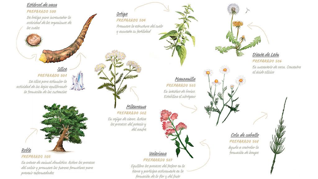 Los ocho preparados biodinámicos