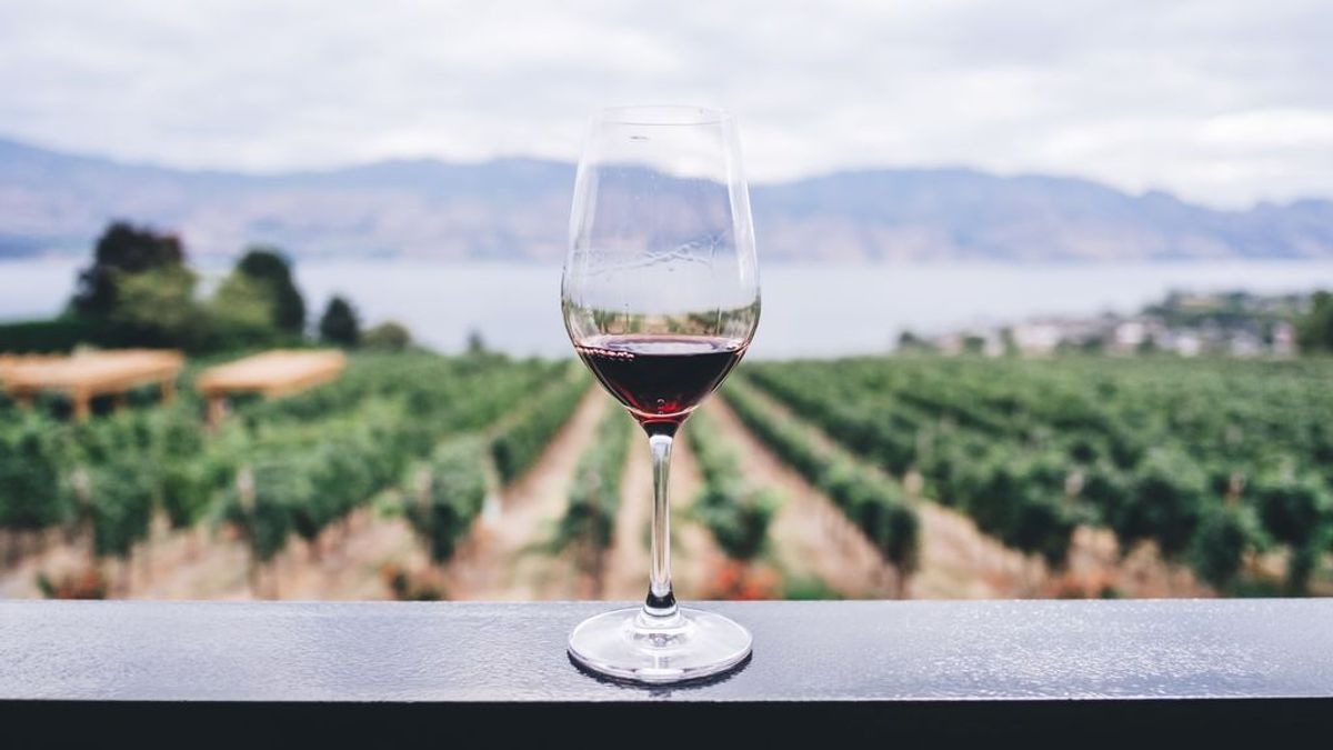 Un vino cosechado en las alturas con el que los viticultores se juegan la vida. Así es la viticultura heroica