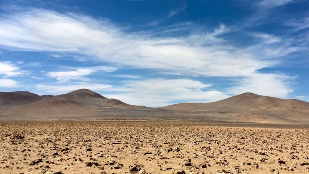Microbios subterráneos en Atacama sugieren que quizá haya vida en Marte