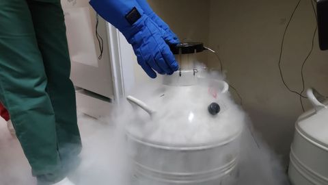 Asi Son Los Congeladores De La Vacuna De La Covid 19 Nius El hidrogeno liquido se suele usar como una forma comun de. congeladores de la vacuna de la covid