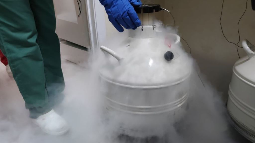Congeladores a menos 120 grados: así son los sistemas de nitrógeno líquido que podrán almacenar la vacuna de Pfizer en España Congeladores a menos 120 grados: así son los sistemas de nitrógeno líquido que podrán almacenar la vacuna de Pfizer en España