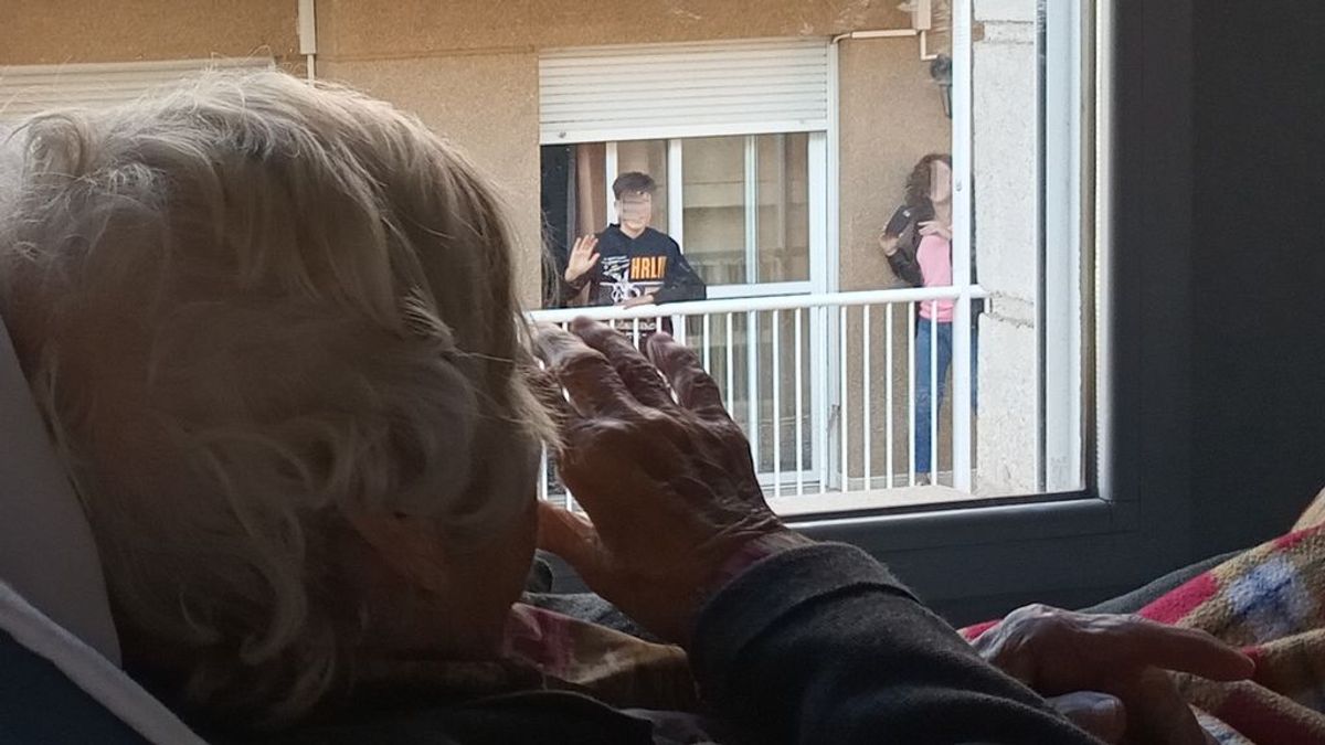 Un niño de 11 años consigue un árbol de navidad para la residencia de ancianos de su pueblo Un niño de 11 años consigue un árbol de navidad para la residencia de ancianos de su pueblo