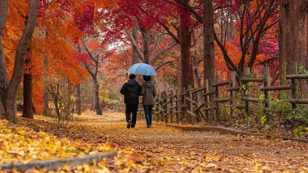Varios frentes repartirán lluvias: el tiempo que hará el fin de semana en España Varios frentes repartirán lluvias: el tiempo que hará el fin de semana en España